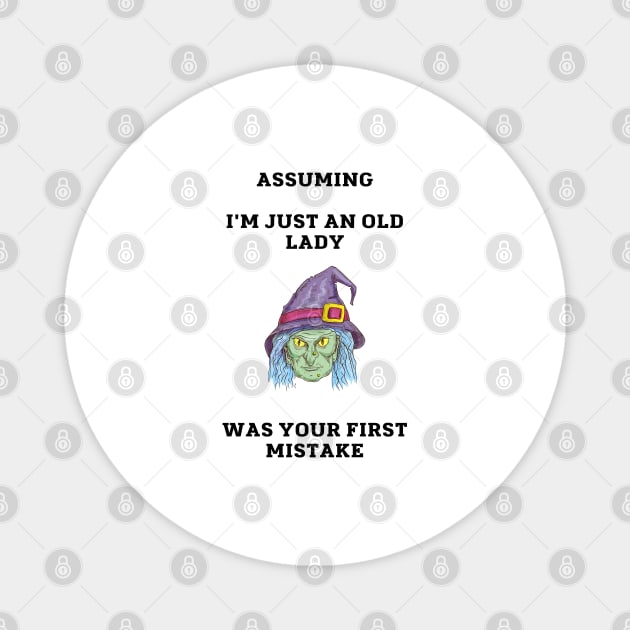 Assuming Im Just An Old Lady Was Your First Mistake Magnet by Chapir